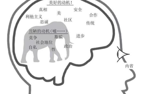 什么样的女性容易发生外遇?探秘背后的原因与心理 什么样的女性容易发生外遇?探秘背后的原因与心理