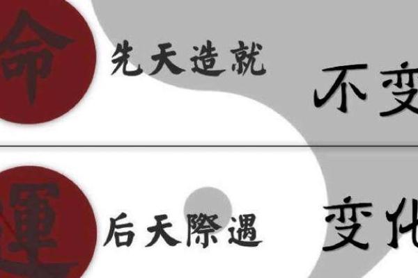 手握拳头的命运象征:解读其背后的深意与启示 手握拳头的命运象征:解读其背后的深意与启示