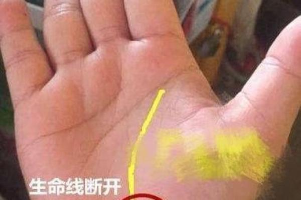 揭秘手相:最上方的生命线展现你的命运之路 揭秘手相:最上方的生命线展现你的命运之路