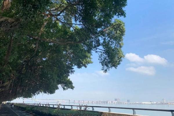 生活中的福气：那些细水长流的幸福瞬间