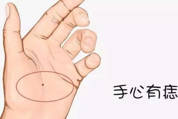 手掌心乱的女人:揭示独特命运的神秘面纱 手掌心乱的女人:揭示独特命运的神秘面纱