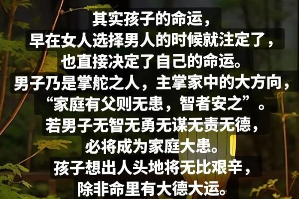 命运与选择：理解“命不如天”的深意与启示