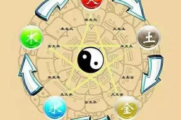 如何查询你的五行属什么命,揭示人生的秘密之钥 如何查询你的五行属什么命,揭示人生的秘密之钥