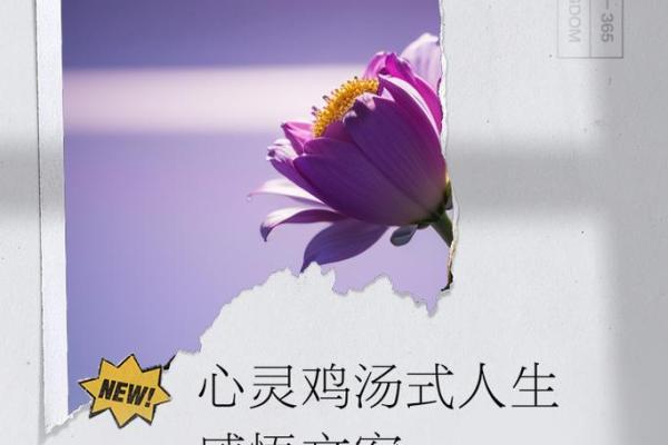 嗜书如命:在纸页之间追寻心灵的归属 嗜书如命:在纸页之间追寻心灵的归属