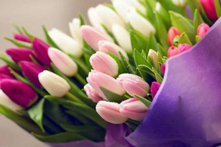 了解生肖与命理：绿花属生肖解析及其文化意蕴