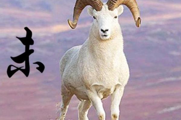 七九年出生的人属相与命格解析：你的命运是否在掌握之中？