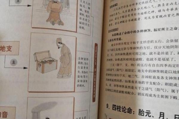 前命与后命:探索命理学中的双重密码 前命与后命:探索命理学中的双重密码