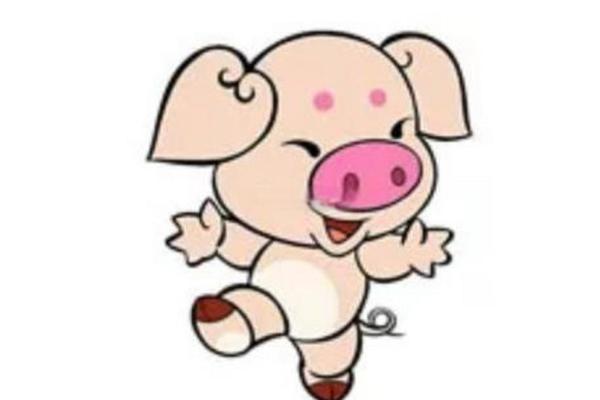 属猪人的五行命解析：深入探讨猪年的命理与运势