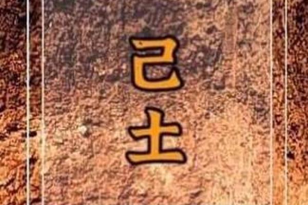 山头火命青猪:命理与性格的深度解析 山头火命青猪:命理与性格的深度解析