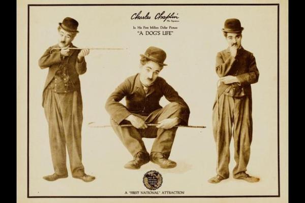 人与动物的深厚情谊:那些相依为命的温馨故事 人与动物的深厚情谊:那些相依为命的温馨故事