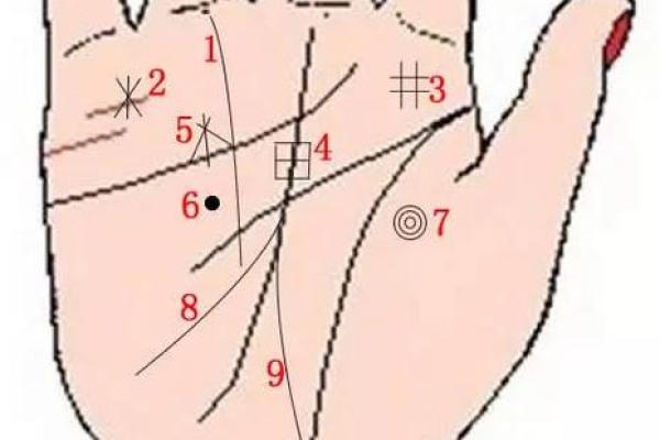从风水角度看手相：揭示你手中的命理密码
