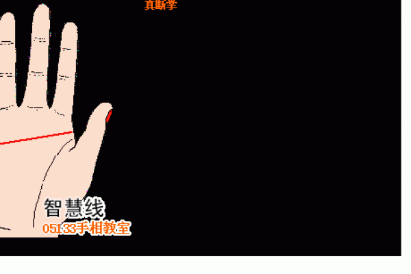 如何通过命格分析识别硬命格的人生特征与挑战 如何通过命格分析识别硬命格的人生特征与挑战