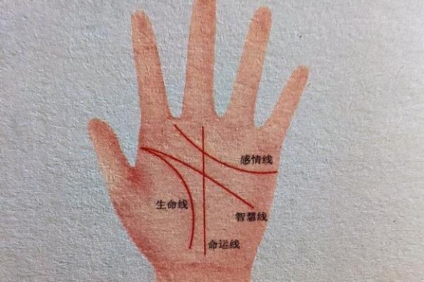 深度解析手相四根线：掌握命运的四大密码！