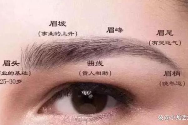 美丽的定义:端庄相貌的内涵与魅力探析 美丽的定义:端庄相貌的内涵与魅力探析