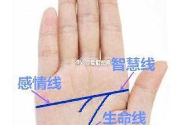 解读女命建禄的深层含义与命理智慧 解读女命建禄的深层含义与命理智慧