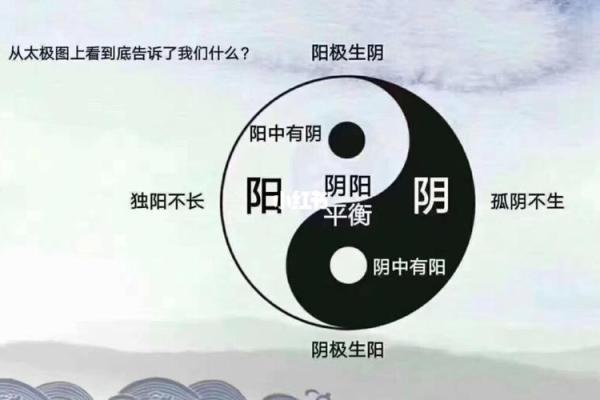 任子年桑柘木命运解析:了解你的命理与人生轨迹 任子年桑柘木命运解析:了解你的命理与人生轨迹