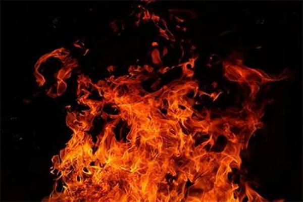 揭开蛇年灯头火命的神秘面纱,探寻人生智慧与运势之秘! 揭开蛇年灯头火命的神秘面纱,探寻人生智慧与运势之秘!