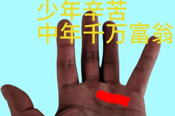 揭秘财富与命运:从手纹看有钱男人的特征 揭秘财富与命运:从手纹看有钱男人的特征