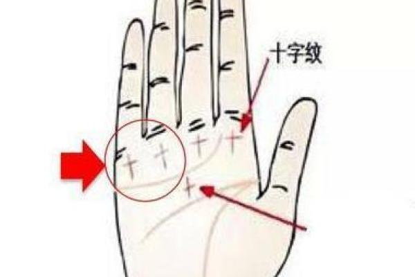 三命五命与运势:探索人生的奥秘与符号的力量 三命五命与运势:探索人生的奥秘与符号的力量