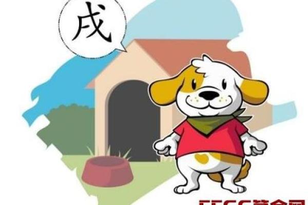 属狗之人:十月一号诞生的命理解析与生活指南 属狗之人:十月一号诞生的命理解析与生活指南