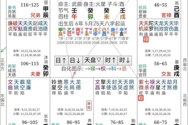 上等命女人的命理秘密：如何通过紫微斗数掌握幸福人生