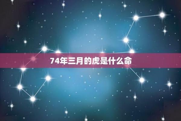 生龙凤胎的命硬:背后的文化与命理探究 生龙凤胎的命硬:背后的文化与命理探究