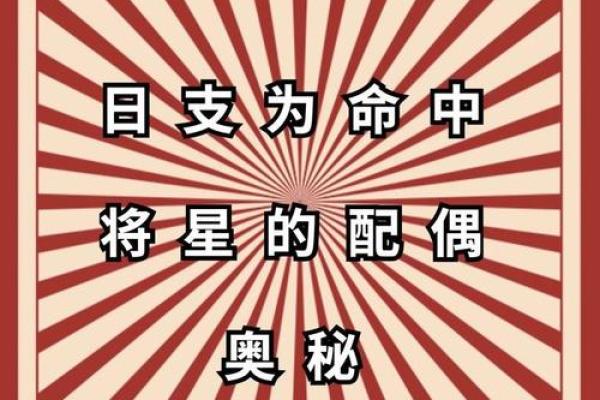 男命八字中的将星,象征着权势与威望的力量 男命八字中的将星,象征着权势与威望的力量