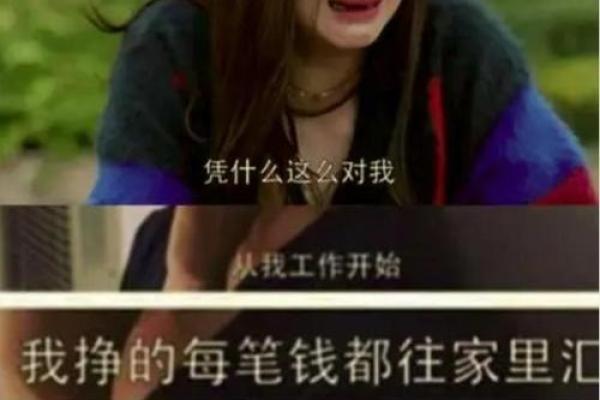 欠你一条命:生命中的感恩与回馈之道 欠你一条命:生命中的感恩与回馈之道