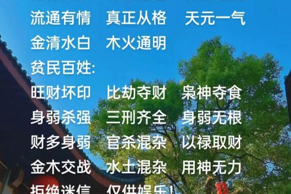 男命印劫大运生肖解析：智慧与财富的共舞之道