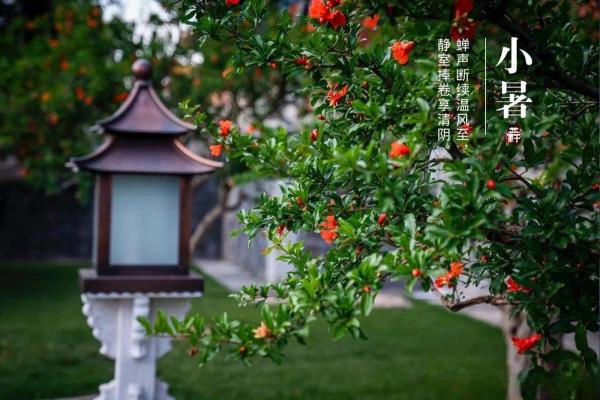 壬水命的贵人属相分析:让好运相伴的神秘力量 壬水命的贵人属相分析:让好运相伴的神秘力量