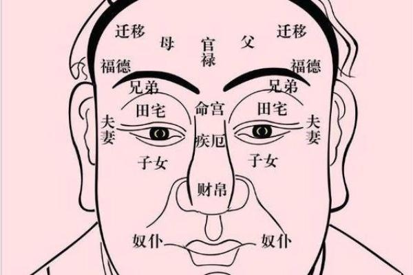 男命子女宫偏官解析:命理之中隐藏的性格与命运 男命子女宫偏官解析:命理之中隐藏的性格与命运
