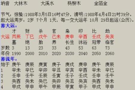 如何通过八字了解自己命理，成为命理女神？