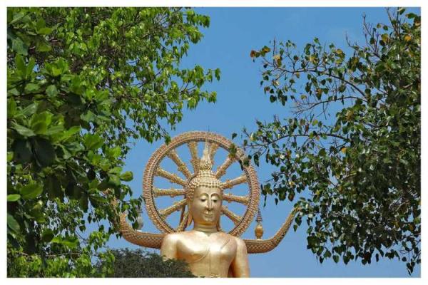 揭开童子命的神秘面纱:前世佛缘与今生使命探寻 揭开童子命的神秘面纱:前世佛缘与今生使命探寻