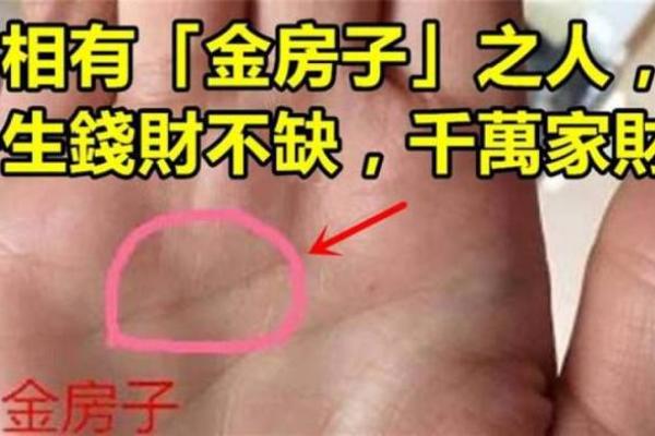 缺金命适合佩戴什么手串?揭秘金元素的魅力与搭配技巧! 缺金命适合佩戴什么手串?揭秘金元素的魅力与搭配技巧!