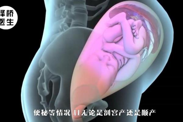 剖腹产对女性生命健康的深远影响:你需要了解的真相 剖腹产对女性生命健康的深远影响:你需要了解的真相