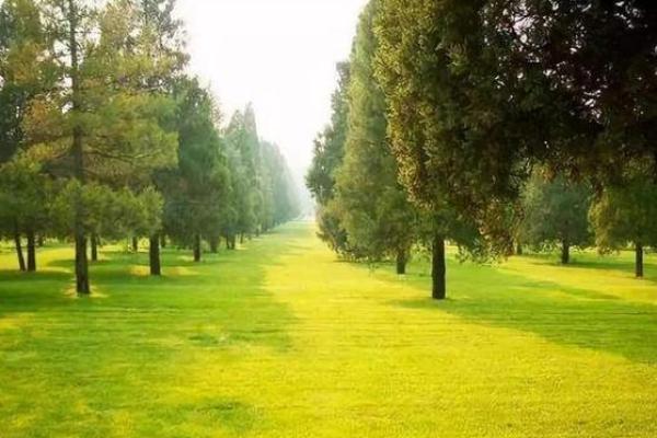 沙中土命的最佳配命解析:如何找到你的命理良缘? 沙中土命的最佳配命解析:如何找到你的命理良缘?