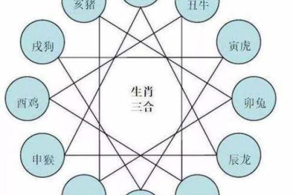 揭秘属猴人的命理特征与运势分析 揭秘属猴人的命理特征与运势分析