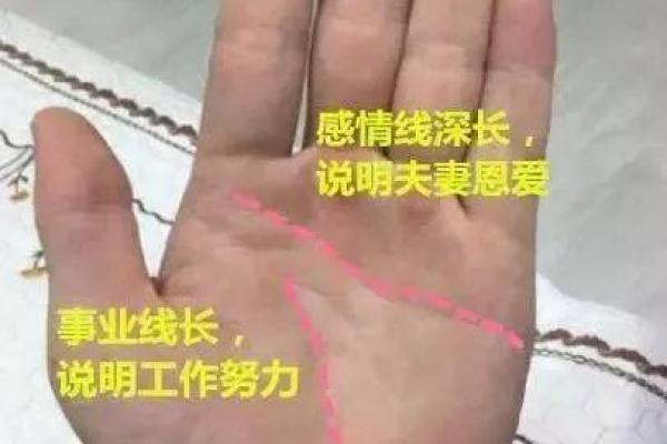 什么是皇后命?探秘皇后命的魅力与人生选择 什么是皇后命?探秘皇后命的魅力与人生选择