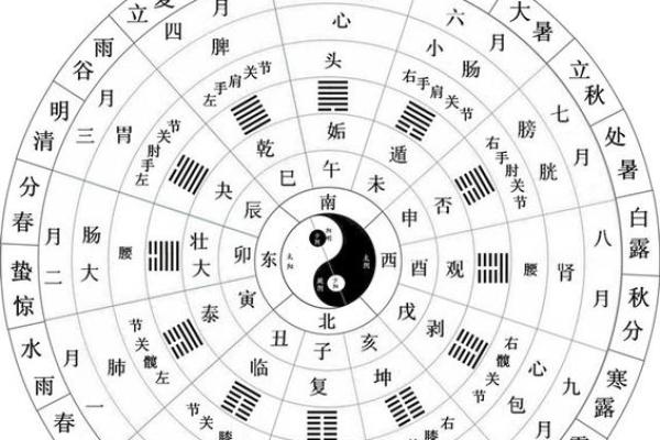 平地木命男孩的最佳命理配对,助你排忧解难! 平地木命男孩的最佳命理配对,助你排忧解难!