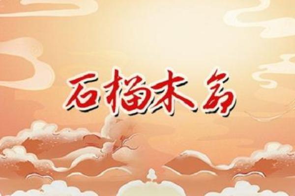 了解石榴木命男命的最佳属相搭配,实现快乐人生! 了解石榴木命男命的最佳属相搭配,实现快乐人生!