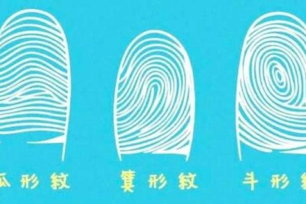 揭秘女人手上两个螺的命理象征与人生导向 揭秘女人手上两个螺的命理象征与人生导向