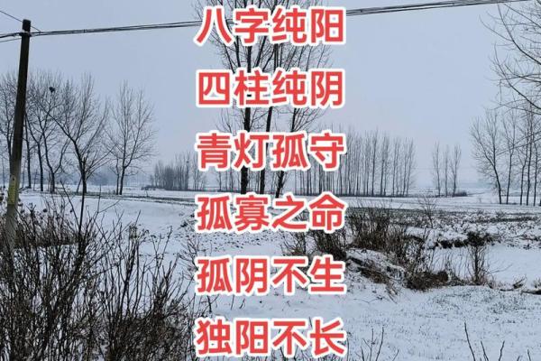 揭秘三阴命:命理中的神秘篇章与人生解读 揭秘三阴命:命理中的神秘篇章与人生解读