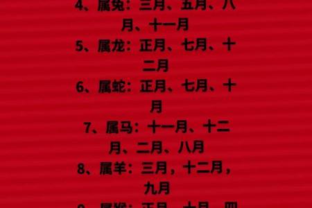 生肖与命运：解读十二生肖背后的命理智慧