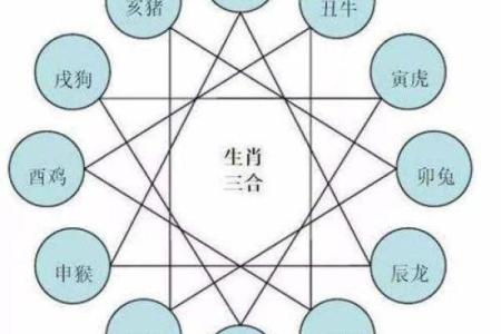 揭秘属猴人的命理特征与运势分析