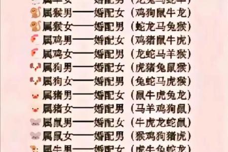 揭示十二生肖：哪些生肖属什么命，谁是命中注定的赢家？