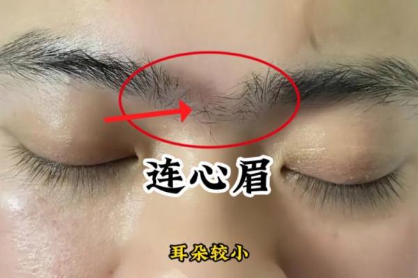 女生面相解析:哪些特征让命运更加光彩夺目? 女生面相解析:哪些特征让命运更加光彩夺目?