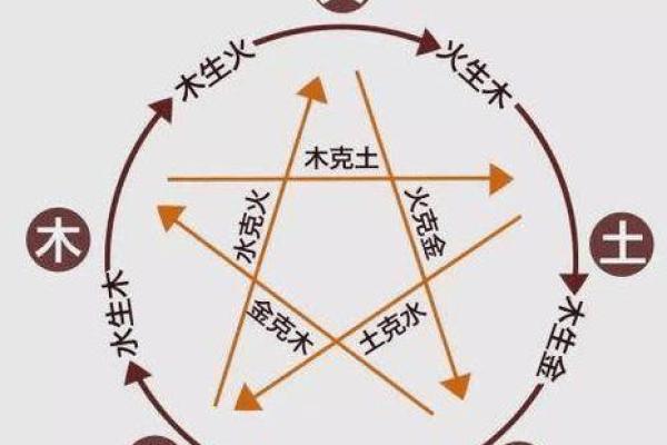 属老鼠的人命理解析:水命与木命的深刻影响 属老鼠的人命理解析:水命与木命的深刻影响