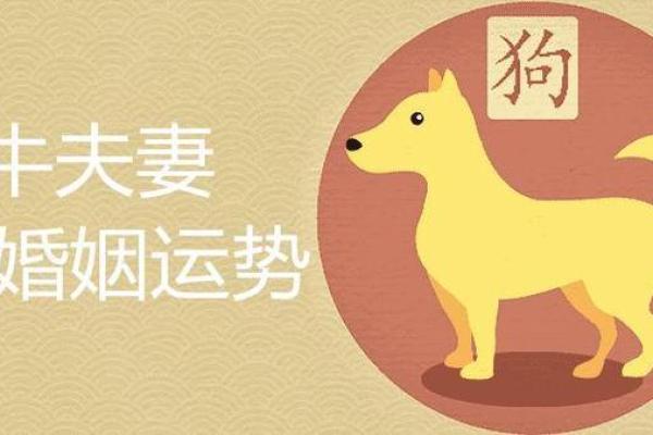 属狗1994年的人命运与性格解析:忠诚与勇气的结合 属狗1994年的人命运与性格解析:忠诚与勇气的结合