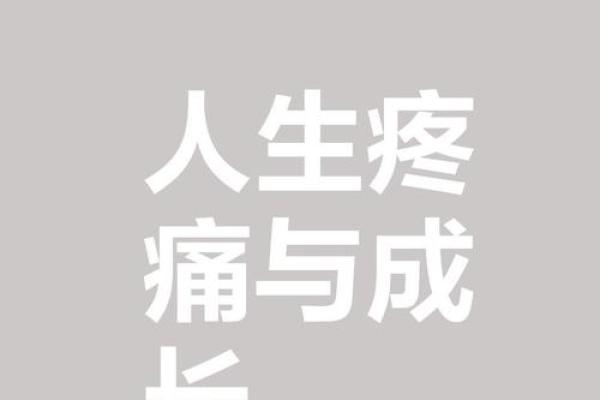 命运不公，她们用坚韧与智慧书写自己的传奇人生！