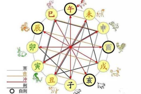 男命女命揭秘：五行与性别的神秘关系分析